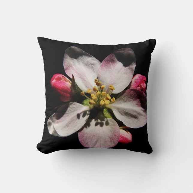 DS Sonnenblume oder Apple Blossom tpcnm Kissen (Vorderseite)