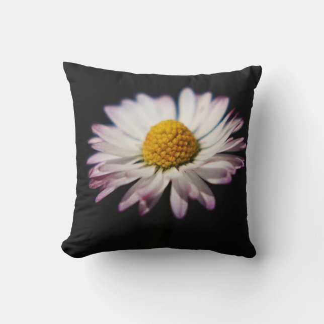 DS Sonnenblume oder Daisy tpcna Kissen (Vorderseite)