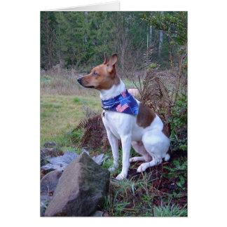 DSC00088 Rat Hund Rick