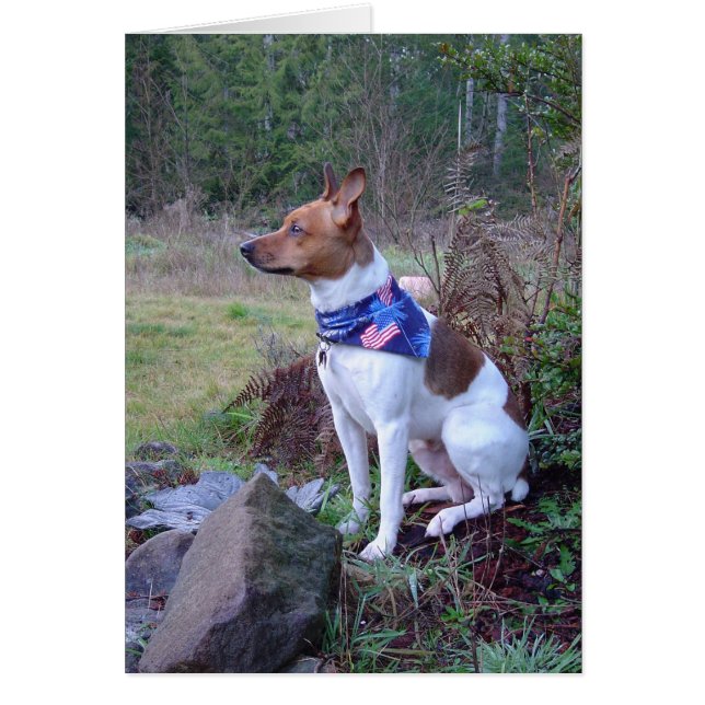 DSC00088 Rat Hund Rick (Vorne)