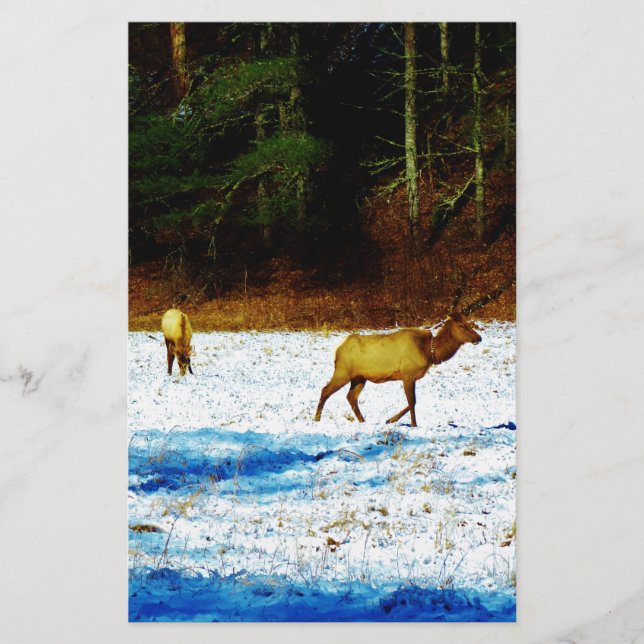 DSC00131.JPG BRIEFPAPIER (Vorderseite)