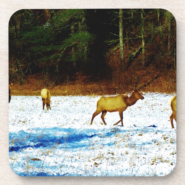 DSC00131.JPG GETRÄNKEUNTERSETZER (Vorderseite)