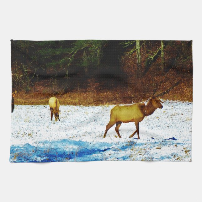 DSC00131.JPG HANDTUCH (Horizontal)