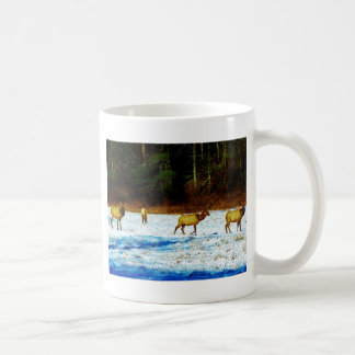 DSC00131.JPG KAFFEETASSE