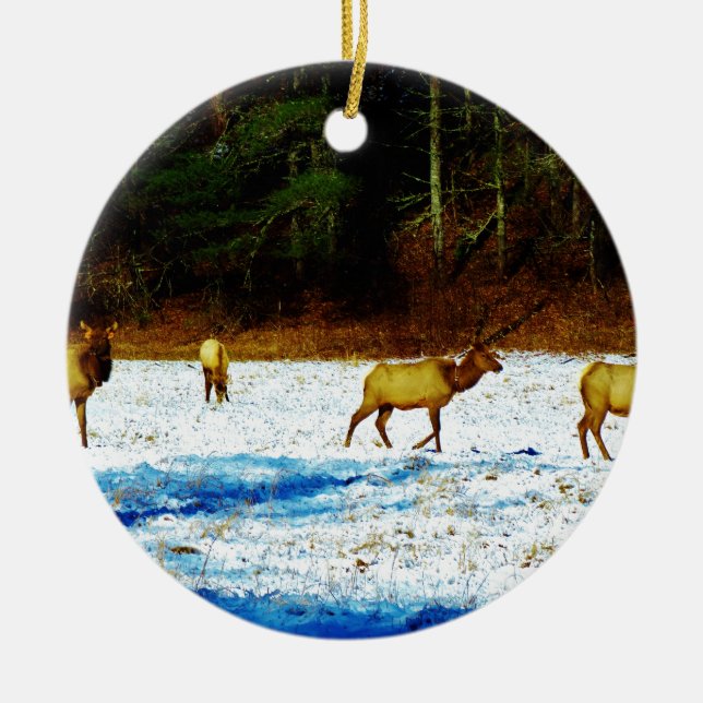 DSC00131.JPG KERAMIK ORNAMENT (Vorne)