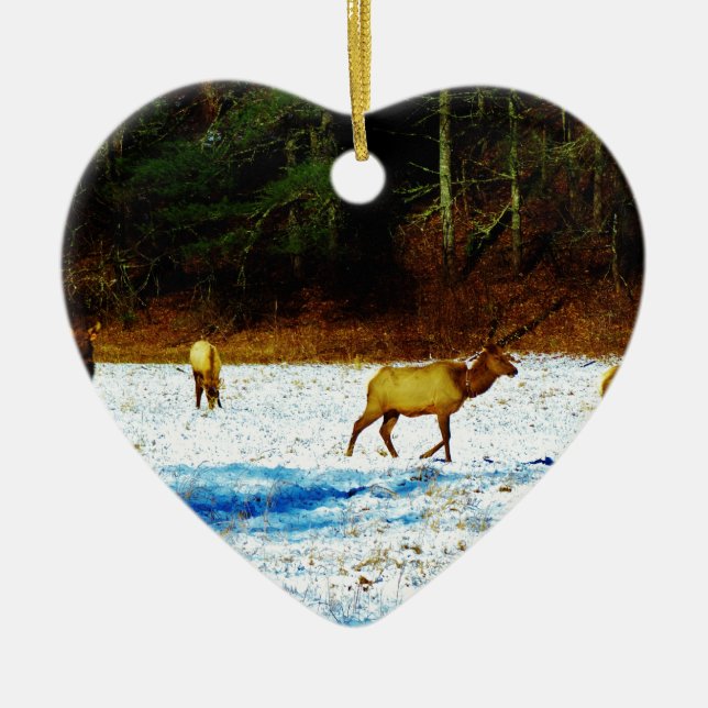 DSC00131.JPG KERAMIK ORNAMENT (Vorne)