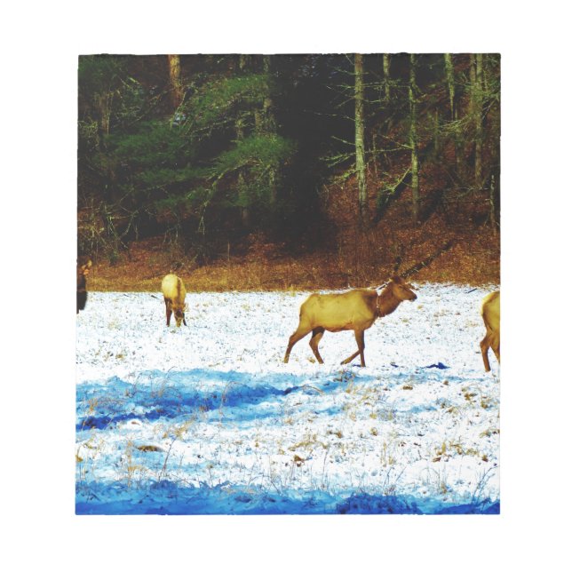 DSC00131.JPG NOTIZBLOCK (Vorderseite)