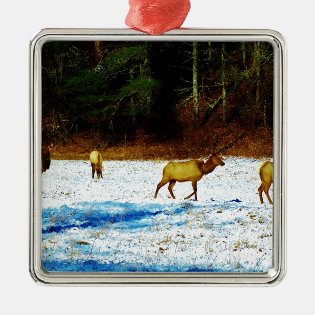 DSC00131.JPG ORNAMENT AUS METALL (Vorne)