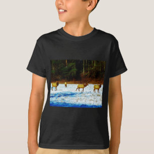 DSC00131.JPG T-Shirt