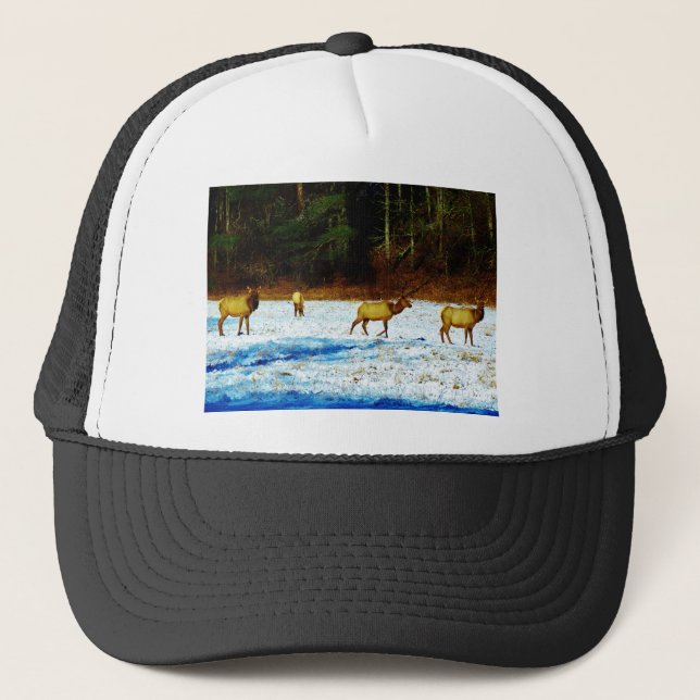 DSC00131.JPG TRUCKERKAPPE (Vorderseite)