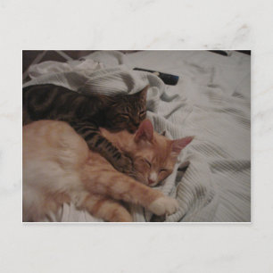 DSC00178[1] (2) POSTKARTE