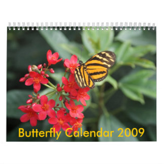 DSC00452, Schmetterlings-Kalender 2009 Kalender
