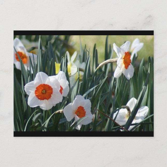 DSC01730 a Postkarte (Vorderseite)