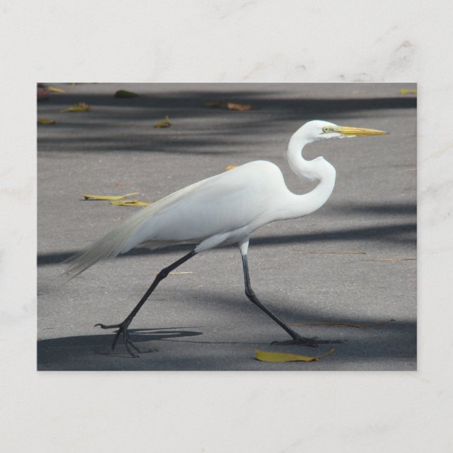 DSC02335 POSTKARTE (Vorderseite)