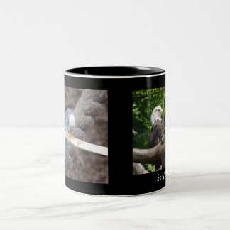 DSC04582, DSC04495, la tasse de la sortie