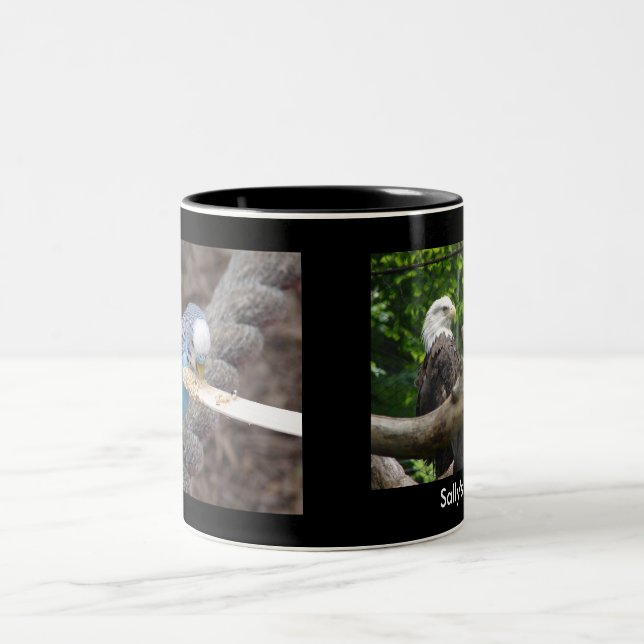 DSC04582, DSC04495, Sallys Tasse (Mittel)