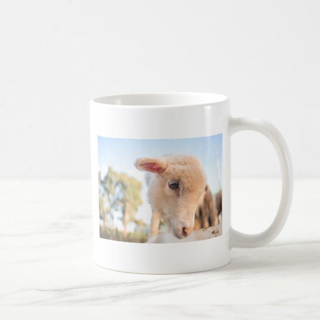 _DSC2491 KAFFEETASSE (Rechts)