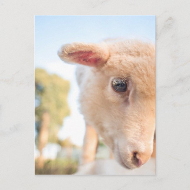 _DSC2491 POSTKARTE (Vorderseite)