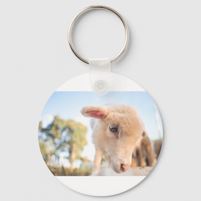 _DSC2491 SCHLÜSSELANHÄNGER (Vorderseite)