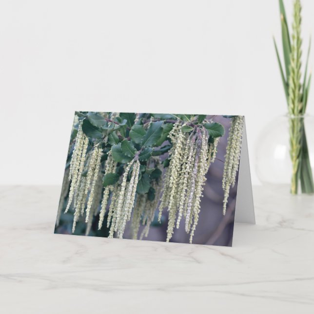 DSC_0119 KARTE (Vorderseite)