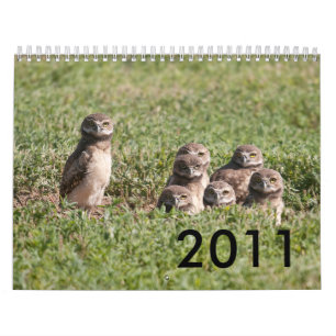 DSC_2816, 2011 KALENDER