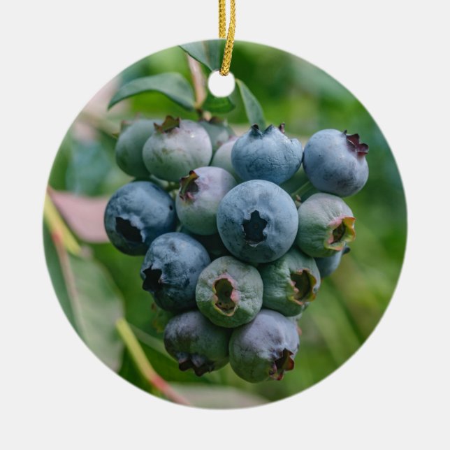 DSC_4190 KERAMIKORNAMENT (Vorne)