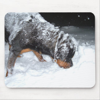 DSCF0448 MOUSEPAD