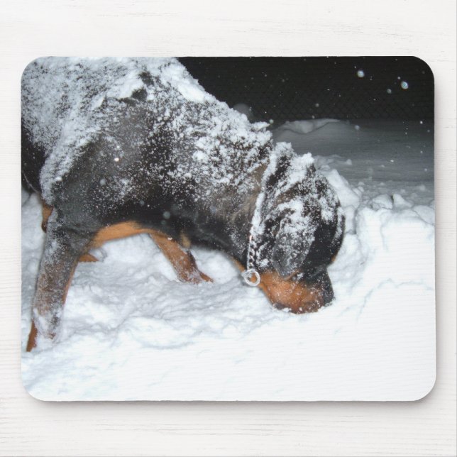 DSCF0448 MOUSEPAD (Vorne)