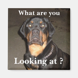 DSCF0490, Was sind Sie , Schauen Sie sich an ? Magnet