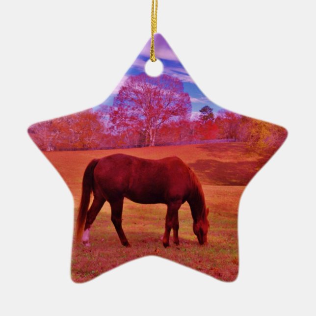 DSCF0536.JPG KERAMIKORNAMENT (Vorne)