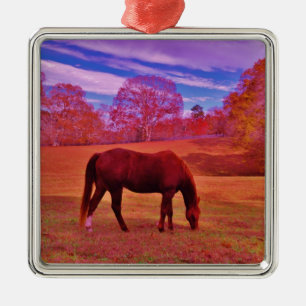 DSCF0536.JPG SILBERNES ORNAMENT