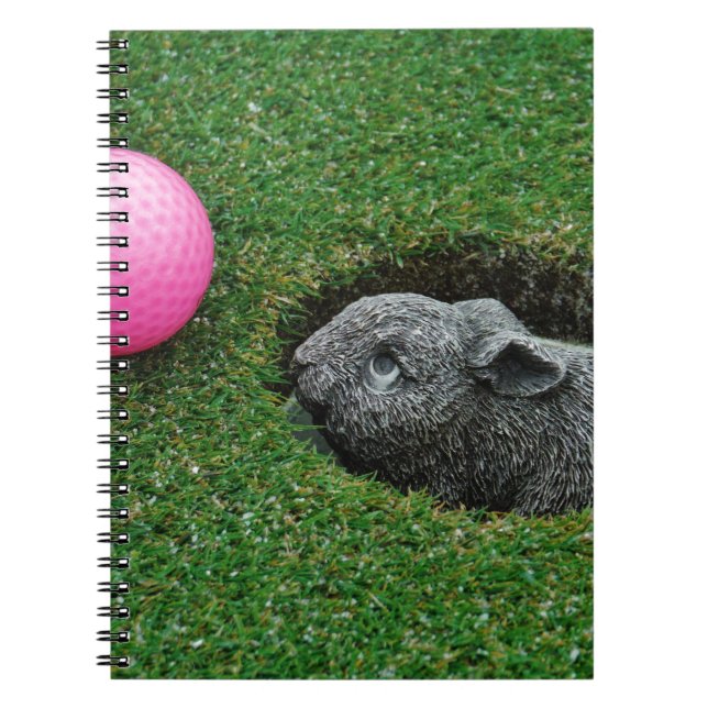 DSCF0652.JPG NOTIZBLOCK (Vorderseite)