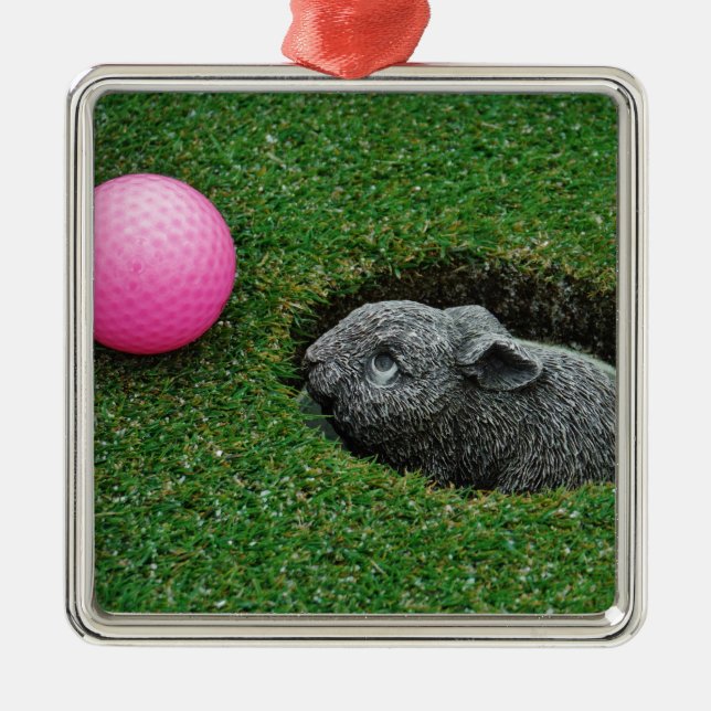 DSCF0652.JPG ORNAMENT AUS METALL (Vorne)