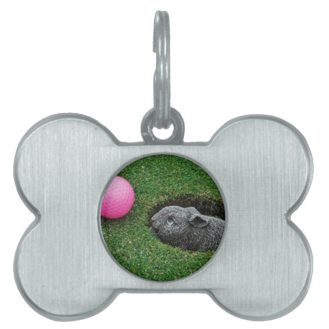 DSCF0652.JPG TIERMARKE (Vorderseite)