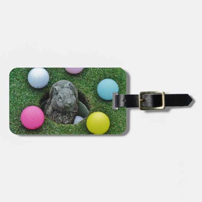 DSCF0698.JPG GEPÄCKANHÄNGER (Vorderseite horizontal)