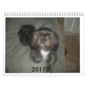 DSCF1937, 2011 KALENDER