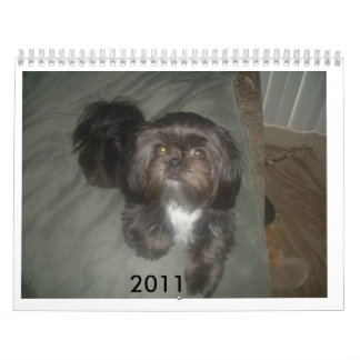DSCF1937,                             2011 KALENDER