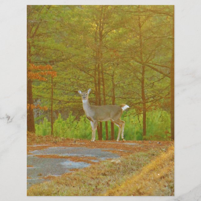 DSCF4041.JPG (Vorderseite)