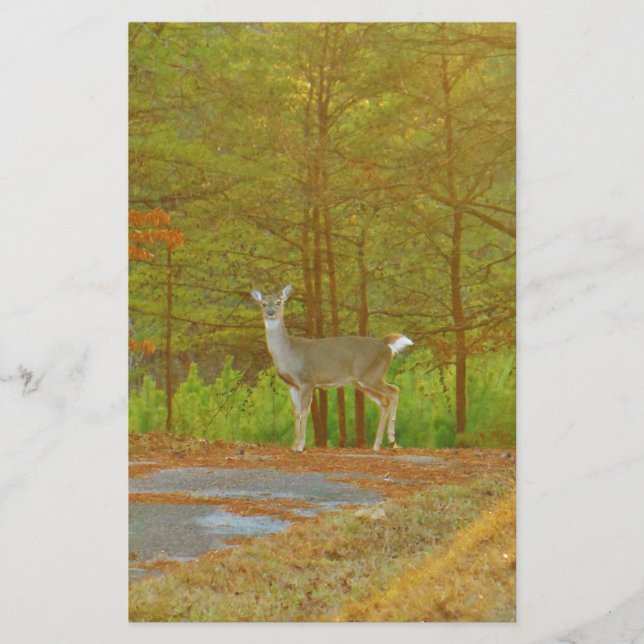 DSCF4041.JPG BRIEFPAPIER (Vorderseite)