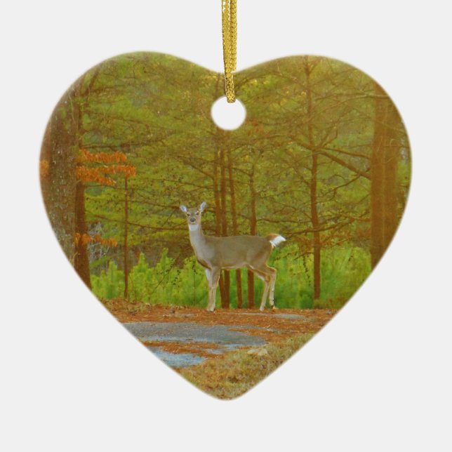 DSCF4041.JPG KERAMIKORNAMENT (Vorne)