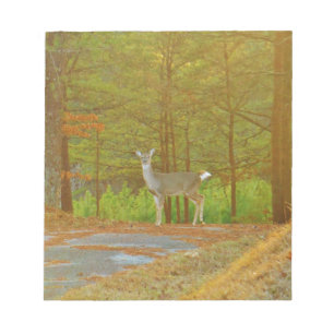 DSCF4041.JPG NOTIZBLOCK