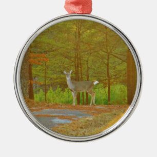 DSCF4041.JPG SILBERNES ORNAMENT