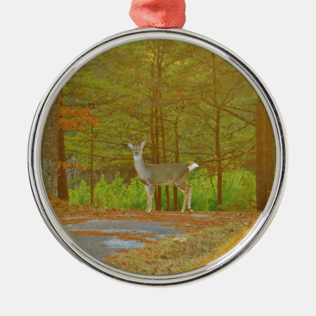 DSCF4041.JPG SILBERNES ORNAMENT (Vorne)