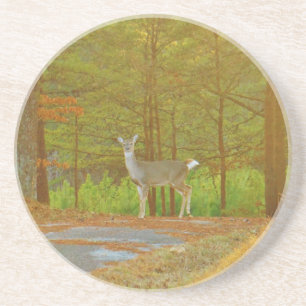 DSCF4041.JPG UNTERSETZER