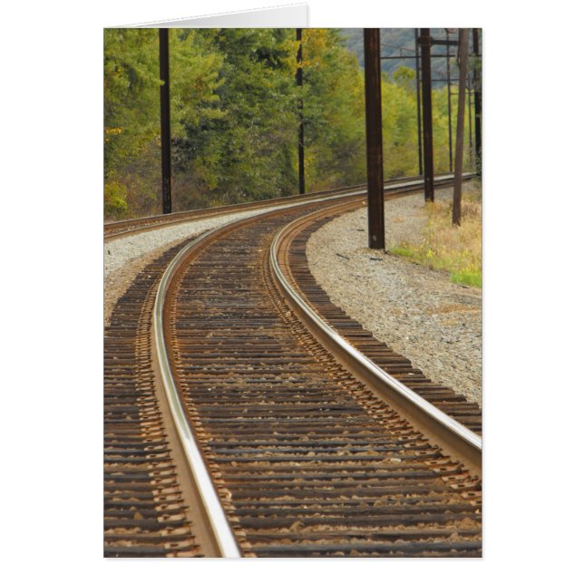 DSCF6914, ~in Ihr words~ (Vorne)