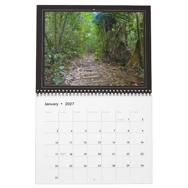 DSCHUNGEL - 2010, schöne Landschaften… Kalender (Jan 2027)