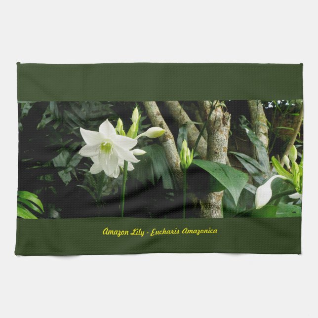 Dschungel-Amazonas-Lilie - Eucharis Amazonica Geschirrtuch (Horizontal)