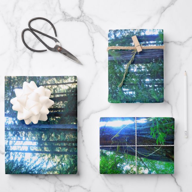 Dschungel Dekorative Dekoration Hochwertige WR Geschenkpapier Set (Vorderseite)