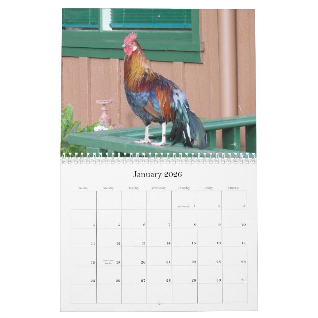 Dschungel-Hühner von Kalender Kauais 2010 (Jan 2026)