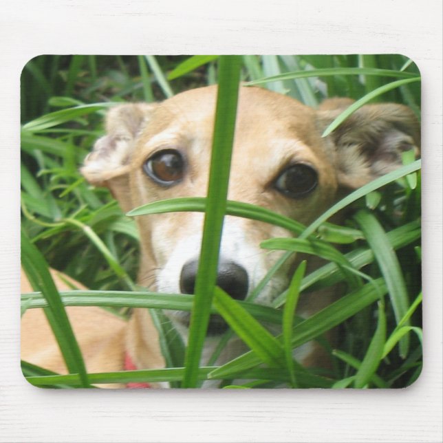 Dschungel Iggy Mousepad (Vorne)